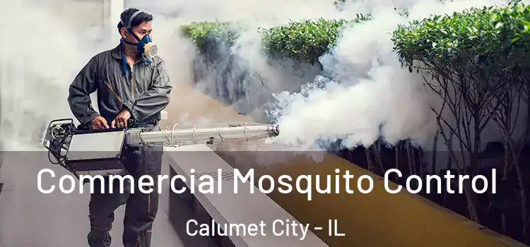  Commercial Mosquito Control Calumet City - IL