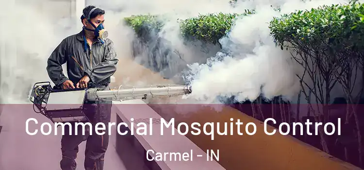  Commercial Mosquito Control Carmel - IN