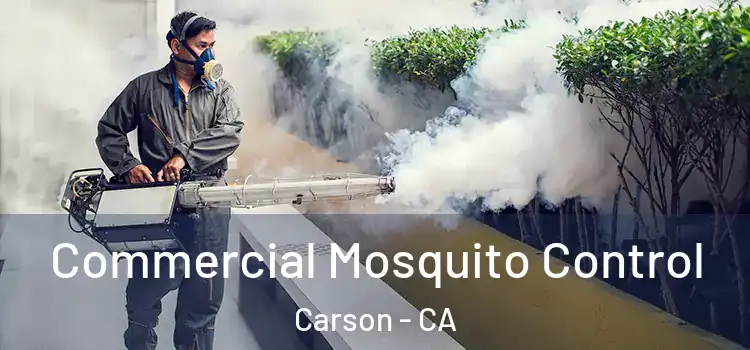 Commercial Mosquito Control Carson - CA