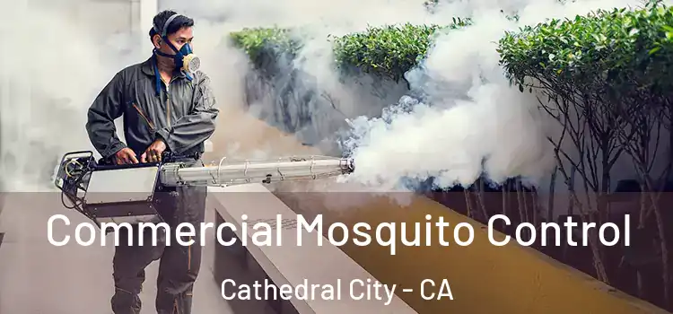  Commercial Mosquito Control Cathedral City - CA