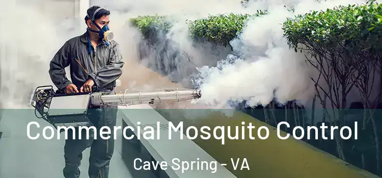 Commercial Mosquito Control Cave Spring - VA