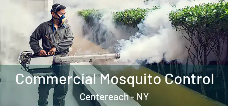  Commercial Mosquito Control Centereach - NY