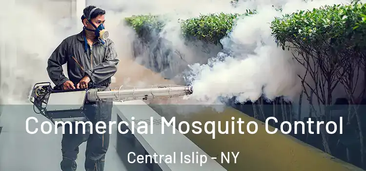  Commercial Mosquito Control Central Islip - NY