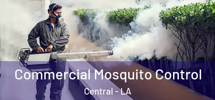 Commercial Mosquito Control Central - LA