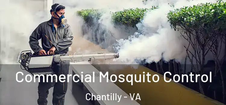  Commercial Mosquito Control Chantilly - VA