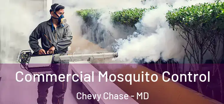  Commercial Mosquito Control Chevy Chase - MD