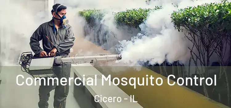  Commercial Mosquito Control Cicero - IL