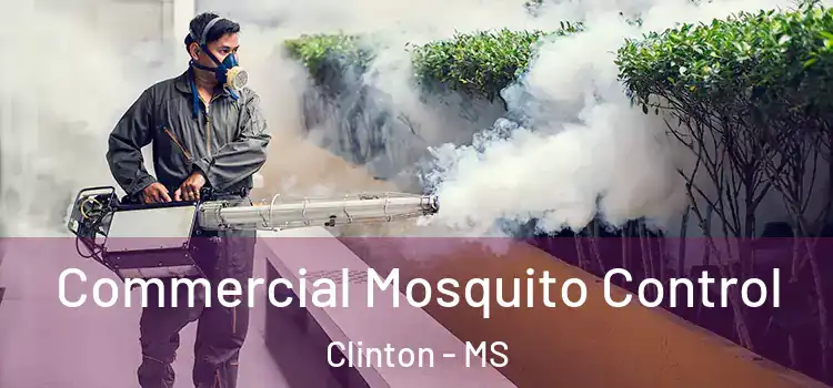  Commercial Mosquito Control Clinton - MS