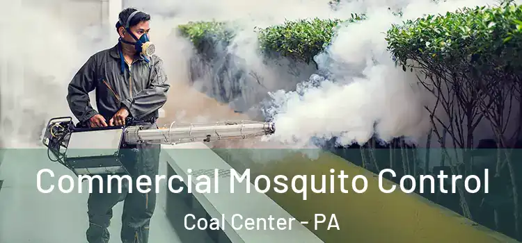  Commercial Mosquito Control Coal Center - PA