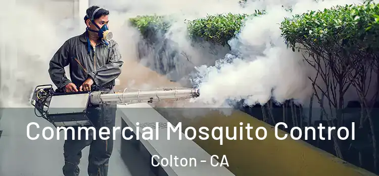  Commercial Mosquito Control Colton - CA