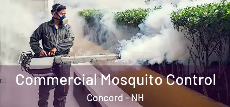 Commercial Mosquito Control Concord - NH