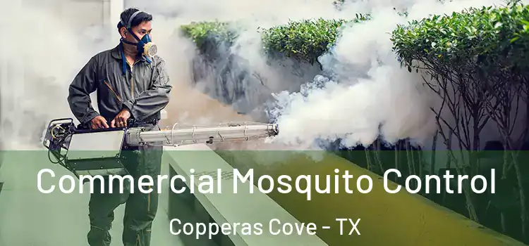 Commercial Mosquito Control Copperas Cove - TX