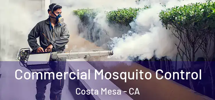 Commercial Mosquito Control Costa Mesa - CA