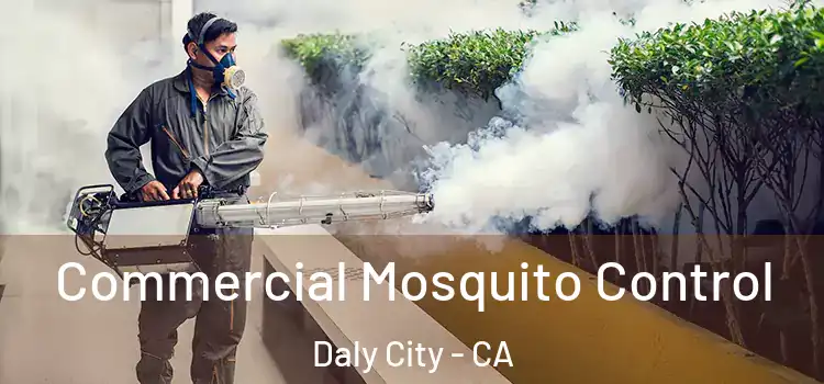 Commercial Mosquito Control Daly City - CA
