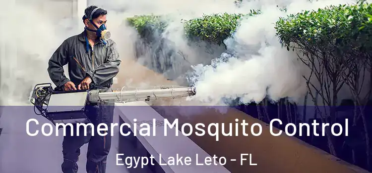  Commercial Mosquito Control Egypt Lake Leto - FL