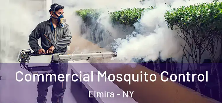  Commercial Mosquito Control Elmira - NY