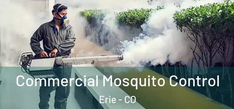  Commercial Mosquito Control Erie - CO