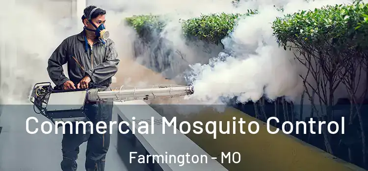  Commercial Mosquito Control Farmington - MO