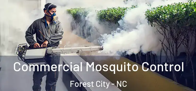 Commercial Mosquito Control Forest City - NC
