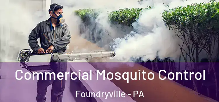  Commercial Mosquito Control Foundryville - PA