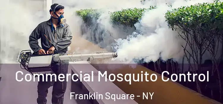  Commercial Mosquito Control Franklin Square - NY