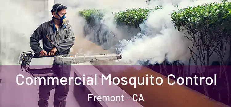 Commercial Mosquito Control Fremont - CA