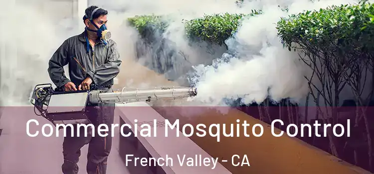  Commercial Mosquito Control French Valley - CA