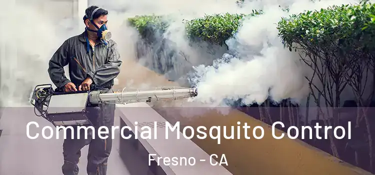  Commercial Mosquito Control Fresno - CA