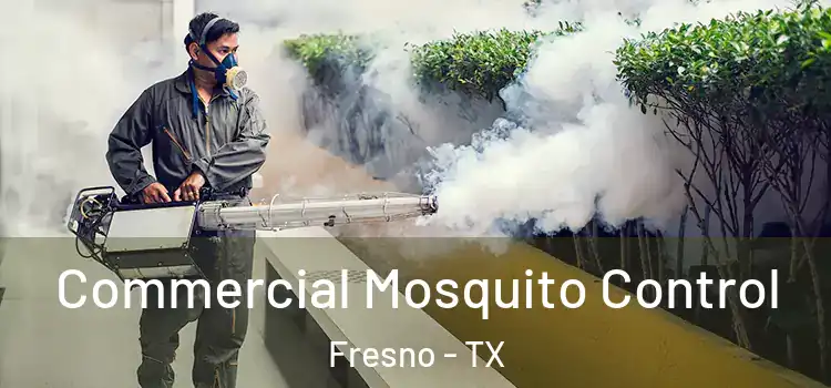  Commercial Mosquito Control Fresno - TX