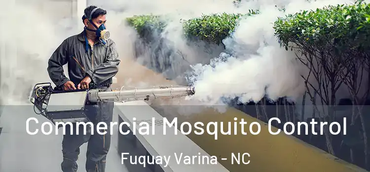  Commercial Mosquito Control Fuquay Varina - NC