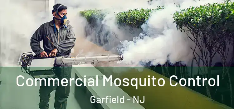  Commercial Mosquito Control Garfield - NJ