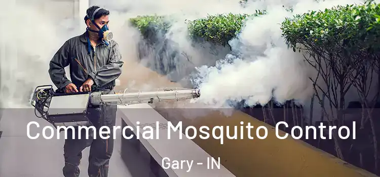  Commercial Mosquito Control Gary - IN