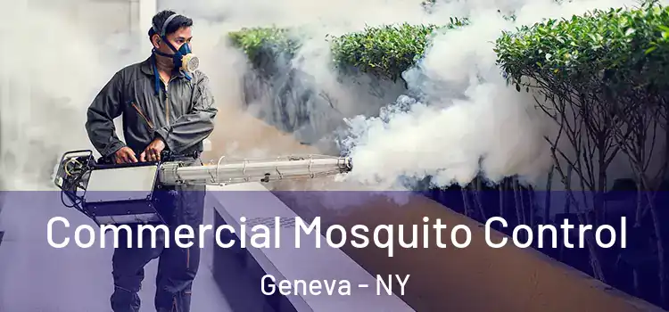  Commercial Mosquito Control Geneva - NY