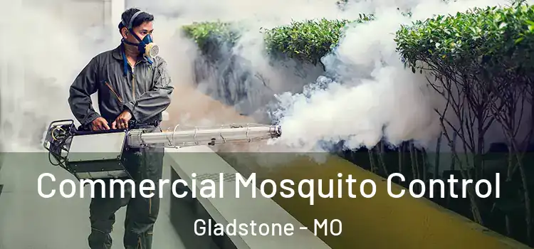  Commercial Mosquito Control Gladstone - MO