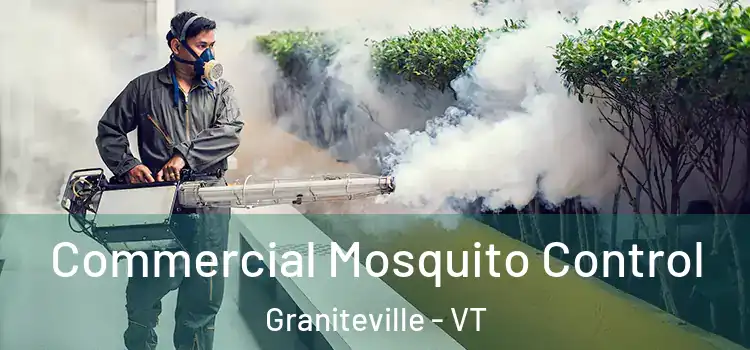  Commercial Mosquito Control Graniteville - VT