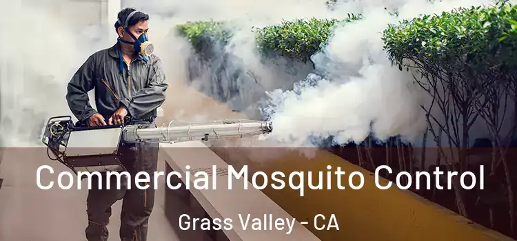  Commercial Mosquito Control Grass Valley - CA