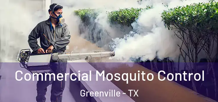  Commercial Mosquito Control Greenville - TX