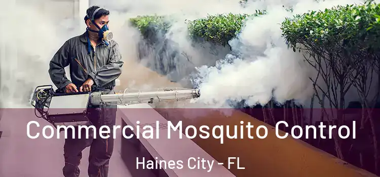 Commercial Mosquito Control Haines City - FL