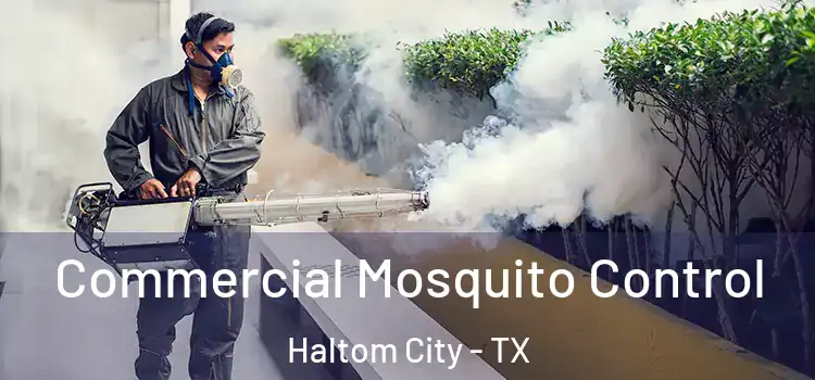  Commercial Mosquito Control Haltom City - TX