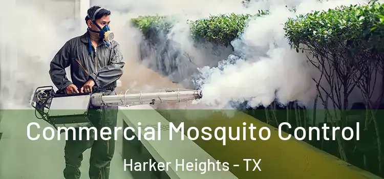  Commercial Mosquito Control Harker Heights - TX