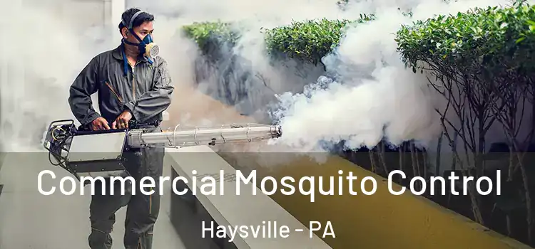  Commercial Mosquito Control Haysville - PA