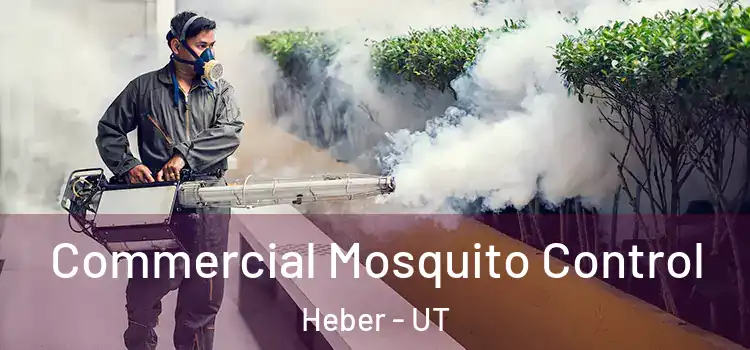 Commercial Mosquito Control Heber - UT