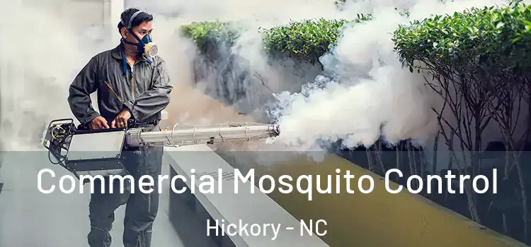 Commercial Mosquito Control Hickory - NC