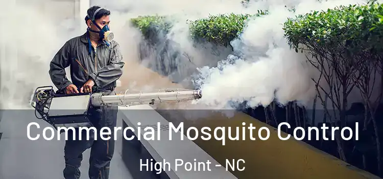 Commercial Mosquito Control High Point - NC
