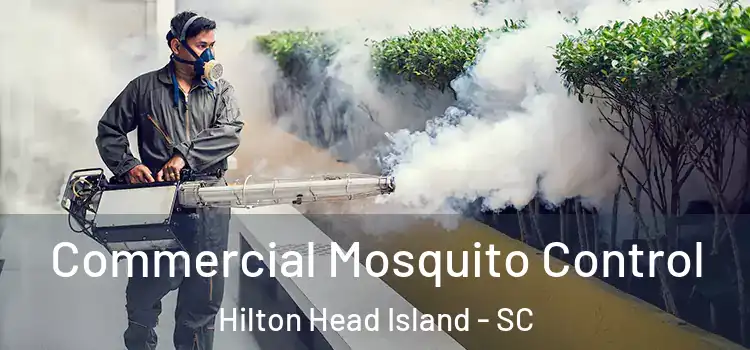  Commercial Mosquito Control Hilton Head Island - SC