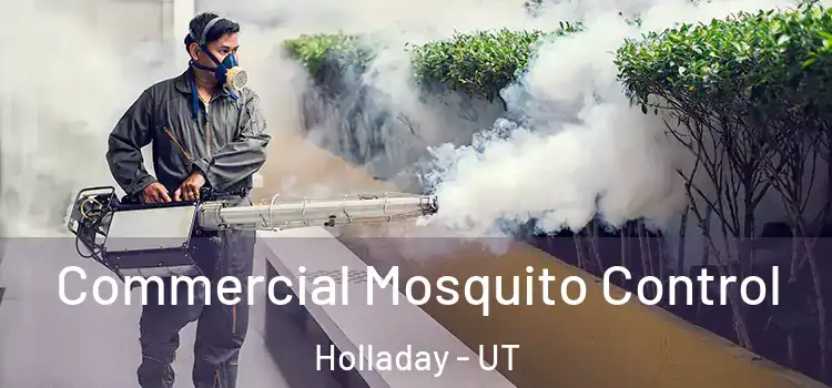  Commercial Mosquito Control Holladay - UT