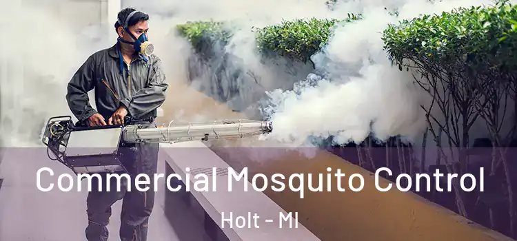 Commercial Mosquito Control Holt - MI