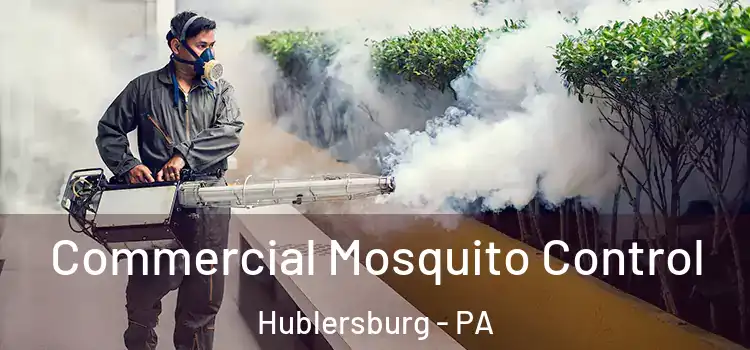  Commercial Mosquito Control Hublersburg - PA