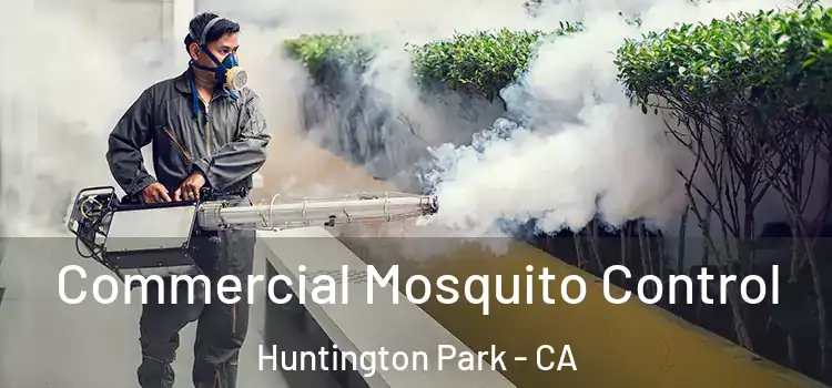 Commercial Mosquito Control Huntington Park - CA