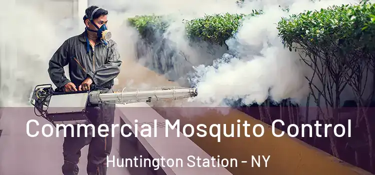  Commercial Mosquito Control Huntington Station - NY
